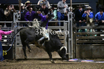 Brenson Bartlett_DSC1663