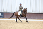 SBM_003462