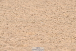 240509A-102947-00889