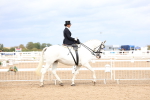 SBM_03393
