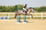 SBM_000246