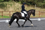 SIAL0633