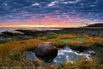 Autumn Oasis - Odiorne Point