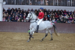SBM_003686