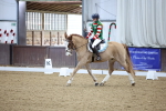 SBM_001237