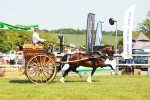 SBM_06686