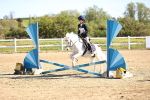 SBM_000495