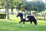 SBM_31784