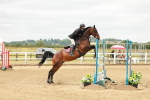 SBM_017517