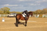 SBM_002831