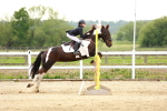 SBM_009541