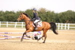 SBM_001016