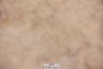241117X-132215-04750
