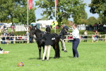 SBM_46961