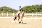SBM_004082