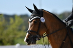 Cls 27, YH 5yr 1.10m portfolio