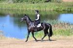 WJ7_6936