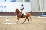 SBM_007663