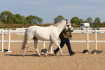 SBM_17873