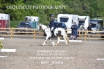 BPP_9585