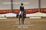BPP_2010