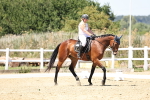 SBM_001737