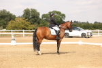 SBM_001911