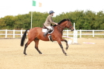 SBM_006733