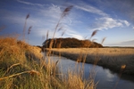 <center>Snape Marshes</center><br>