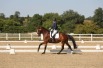 SBM_006446