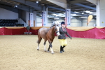 SBM_00461