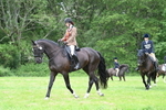WJ7_4333
