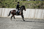 BVRC SJ 170319 249