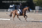 BPP_9250