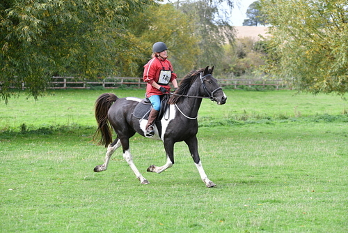 WJ5_9882