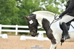 Novice 23 portfolio
