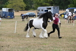 WJ6_5365