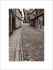 "Elm Hill"