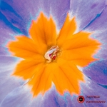 190327-untitled-1L4A0569-Edit-Edit
