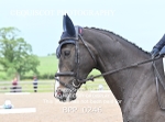 BPP_0246