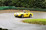 04-10-2020 Pete Wilson-208
