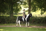 SBM_70064