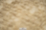 240309-105856-00221