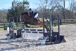 BPP_6296