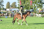 SBM_54029