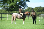 SBM_36707