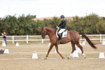 SBM_009433
