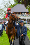 180523-Race 3-Croupier-0423