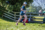The Finish-1709