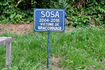 A la mémoire de Sosa